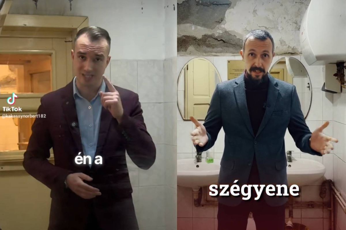 Mit csinál két politikus egy vécében?