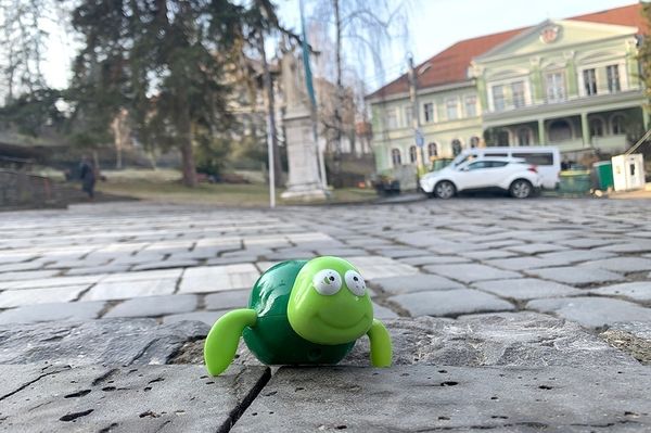 Székelyudvarhely és a békák