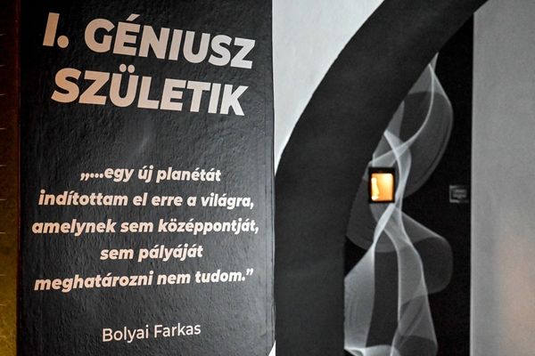 Megelevenül Bolyai Farkas és fia, Bolyai János