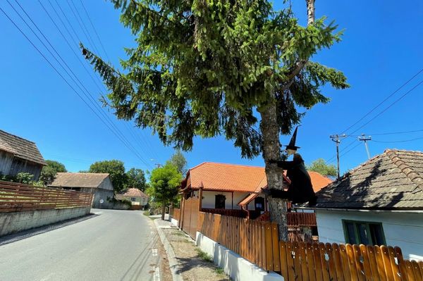 Lesodródott és a fának ütközött Szenttamáson