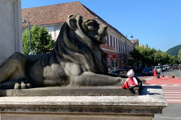 Mit érthet a kampányból a kisegér, avagy miért nem Gálfira szavazunk a feleségemmel?