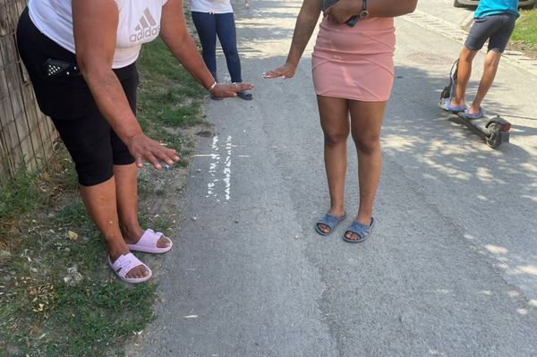 Kutya támadt egy kislányra Máréfalván