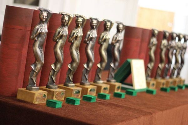 Udvarhelyieket is díjaznak az erdélyi Oscaron