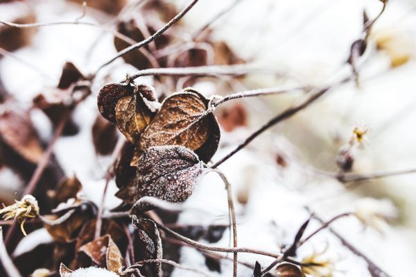 Ingadozó időjárásra számíthatunk november utolsó felében