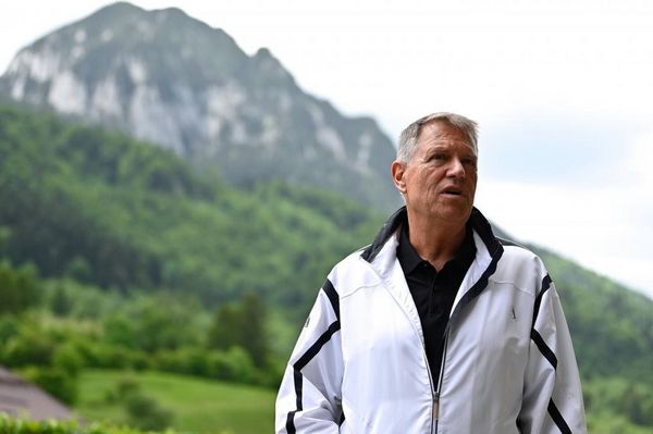 Kihirdette Iohannis az elfogadott medvetörvényt