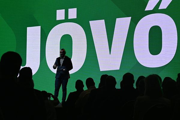 Baljós árnyak az udvarhelyi tulipánmezőn