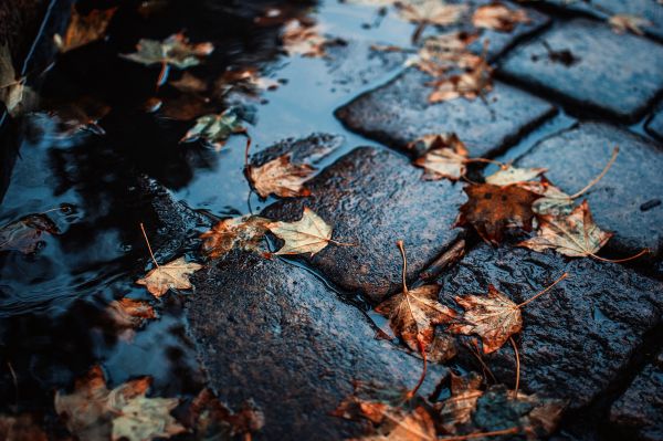 A héten még nem kell ernyő