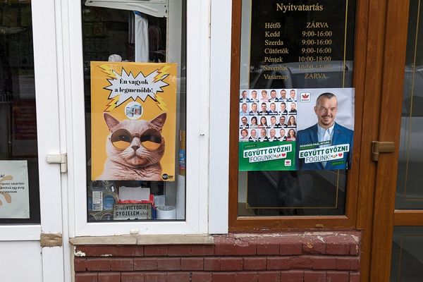 Állati jó bemutatkozások: Gálfiék a sztriptíztáncosokkal, Szinuszék a disznókkal