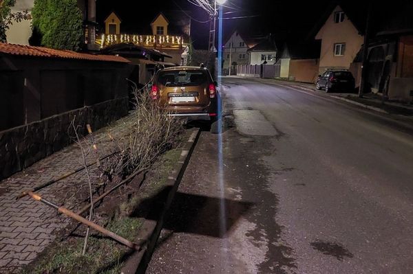 Ittasan gázolta el a szemközti bokrokat Szentegyházán