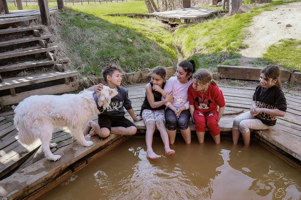 A cigányokkal a társadalom szövetét kell újraalkotni
