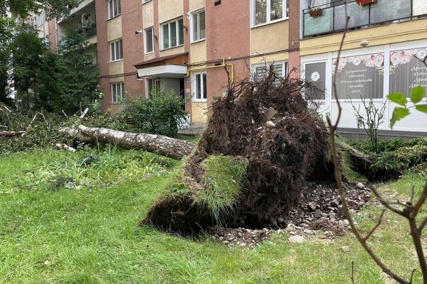 Hat megyében léptek közbe a katonai tűzoltók a viharkárok miatt