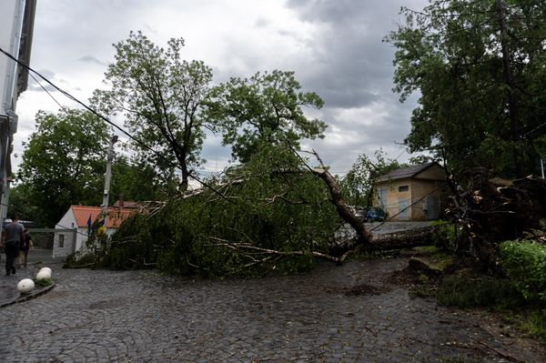 Fákat csavart ki, tetőket bontott a vihar