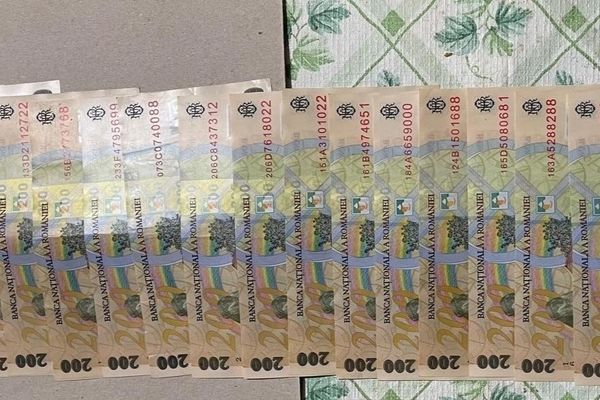 Csalás és sikkasztás miatt tartottak házkutatásokat