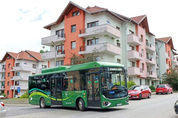 Próbáld ki a nagy zöldeket!