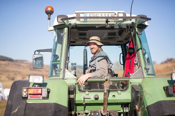 A teheneket egy nap alatt el lehet rontani