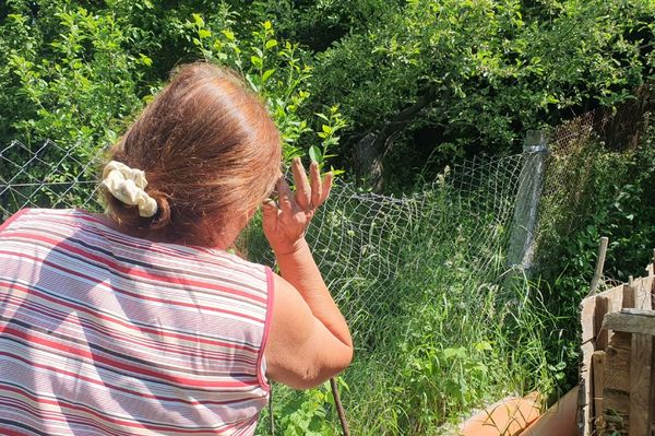 Ne lőjék ki, csak vigyék el innen