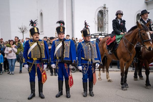 Békét vagy szabadságharcot?