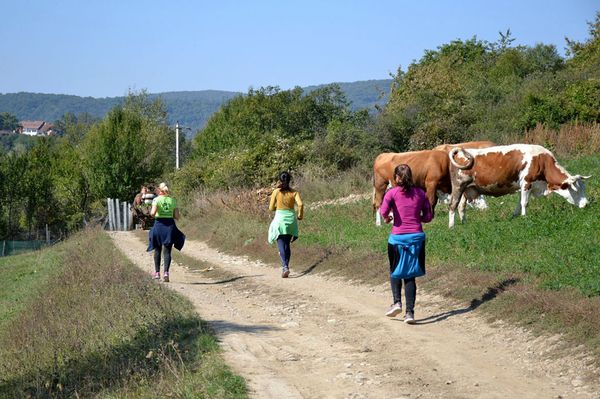 Eltűnt falvak emlékére futnak