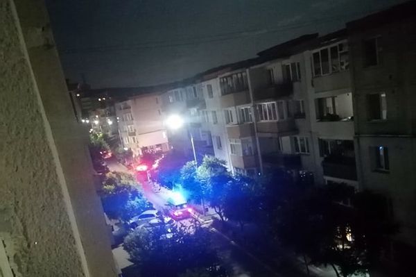 Nagyobb kutya lehetett a Bethlen negyedi medve?