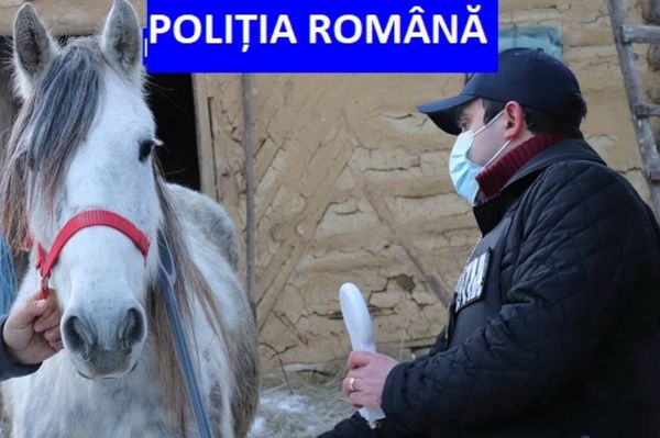 Állattartókat büntettek Almáson