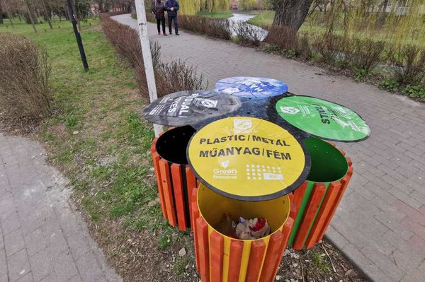 Négylevelű lóherék jelentek meg a városban