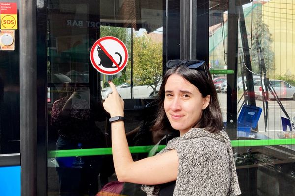 Szerbusz, Udvarhely!