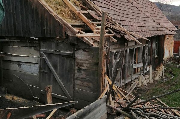Medve tört be egy nagysolymosi gazdaságba