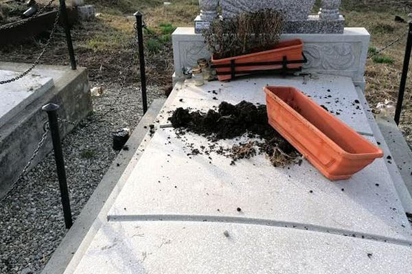 Medve garázdálkodott Székelyderzsben