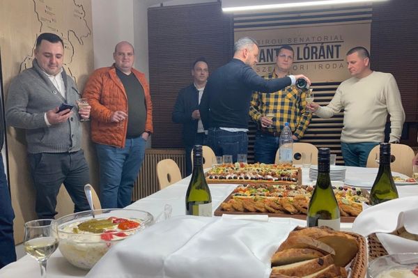 Percről percre: Mi van a tulipános ládákban? (frissítve)