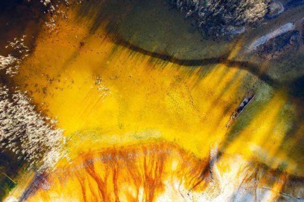 Élettel teli képeket állítanak ki, borús napokra