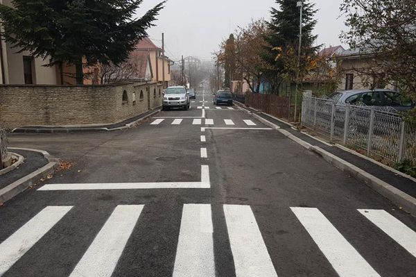 Kilenc zebra pár száz méteren