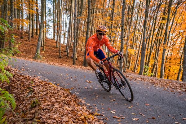 Ez nem csak a génekről szól