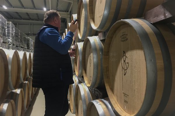 A pincészet, ami belopta magát a szívembe