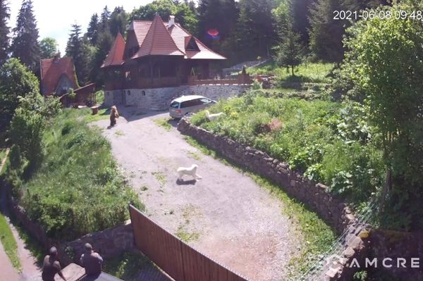 Bocs, nem kávézunk a teraszon!