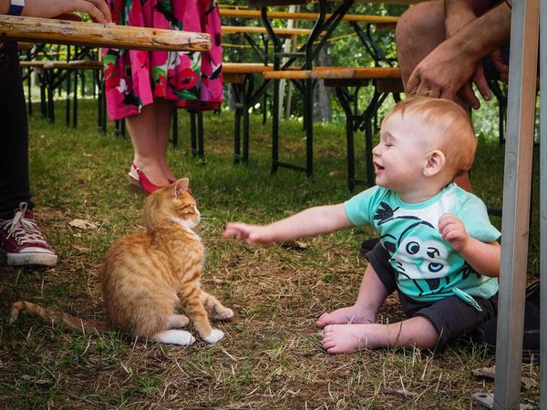 Én a családérzésre voltam kíváncsi. Hogy az mit jelent.