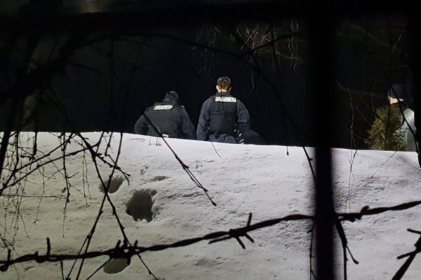 Megpróbálta elkergetni a medvét, de nem sikerült