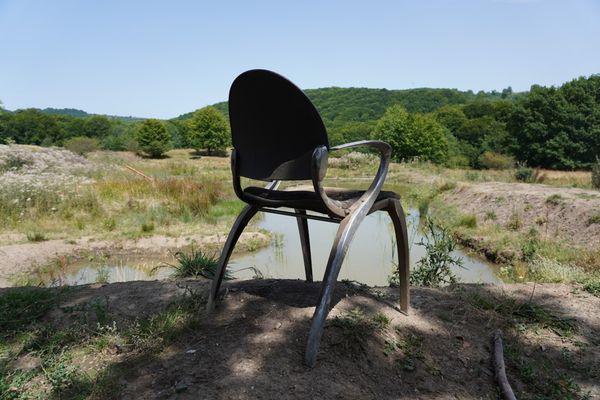 A medvére akarják fogni