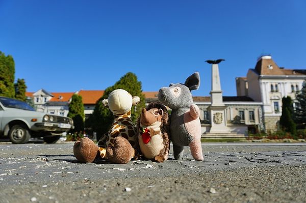 Ebben a székely városban laknak-e magyar állatok?