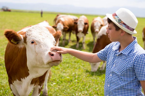 Örök életükben a jó állatot szerették