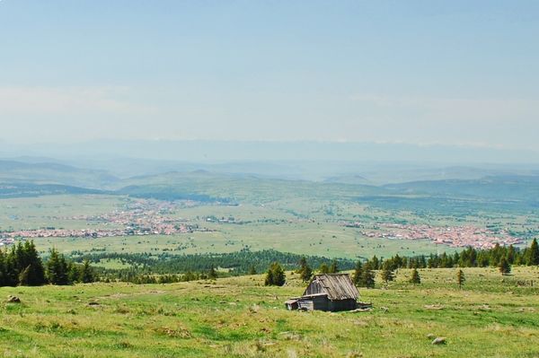 Mi fán terem a polgármester?