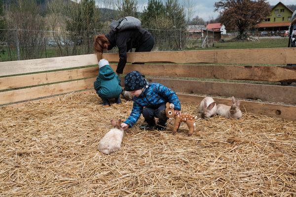 Eddig tudott büntetlenül működni a zeteváraljai állatsimogató