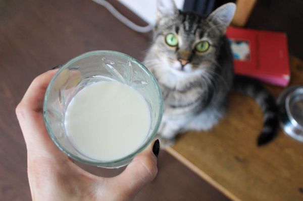 Ennyivel lett olcsóbb a kosarunk