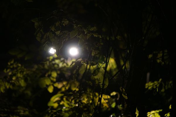 Elrabolták. Megverték. Kirabolták.