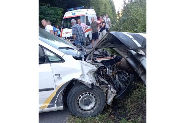 Nem ő ment a fának, a fa ment neki