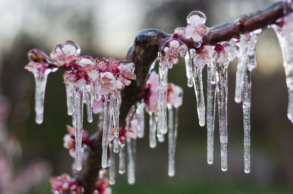 Kártérítést kaphatnak a gazdák