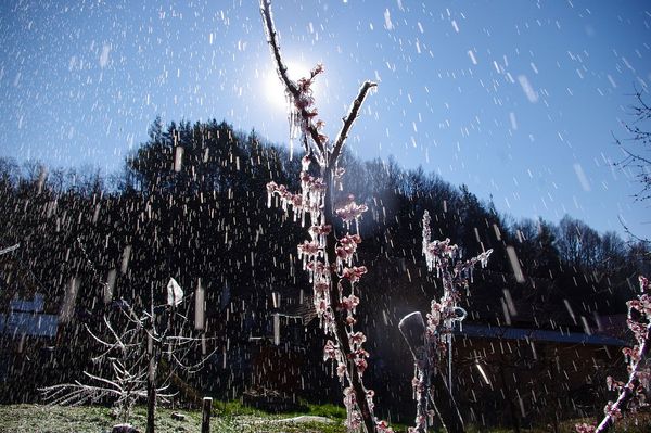 A jó meleg helyett fagyra, hóra kell számítani
