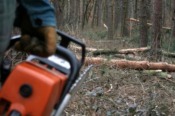 Kiskorú szekerest büntettek a rendőrök