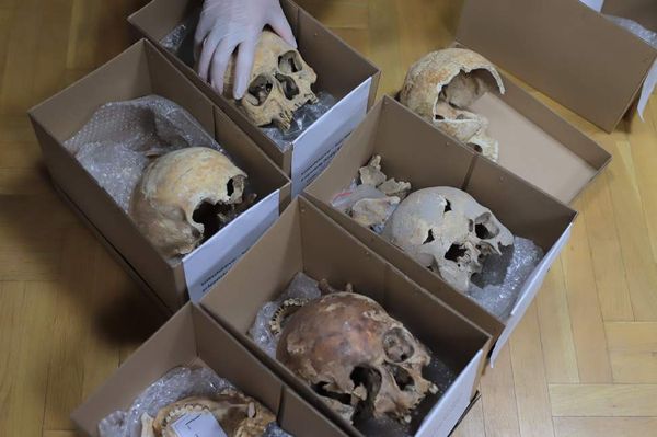 Magyar uralkodók földi maradványait azonosították