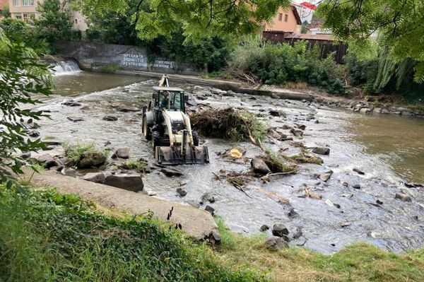 Árvizet okozhatsz, ha a folyópartra dobod a növényi hulladékot