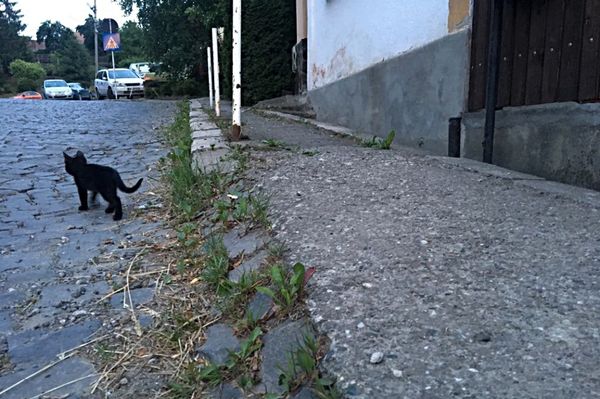 Ebbe az utcába nem hajthatsz be
